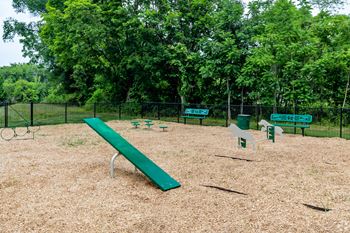 dog park with agility equipment at Wynfield Apartments and Townhomes